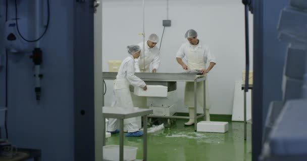 Trabajadores en una fábrica de procesamiento de mariscos — Vídeo de stock