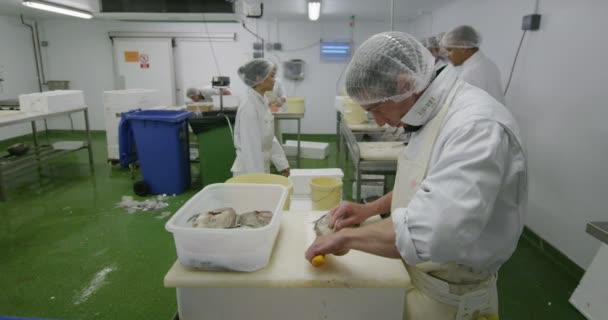 Trabajadores de la pesca en planta — Vídeos de Stock