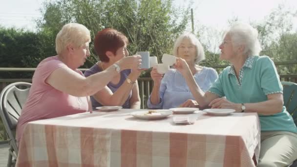 Kıdemli arkadaşlar çay bardağı ile sohbet — Stok video