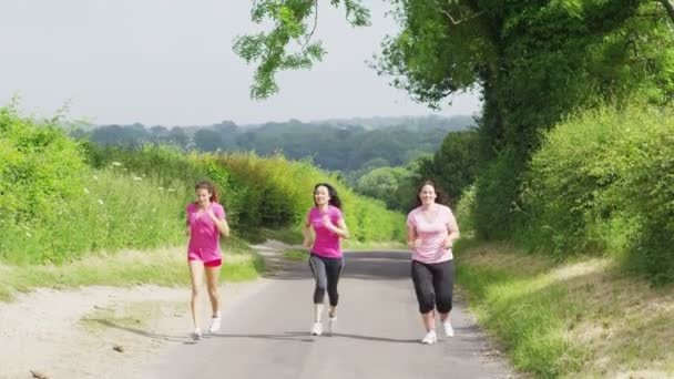 Mujeres amigas corriendo en el campo — Vídeo de stock