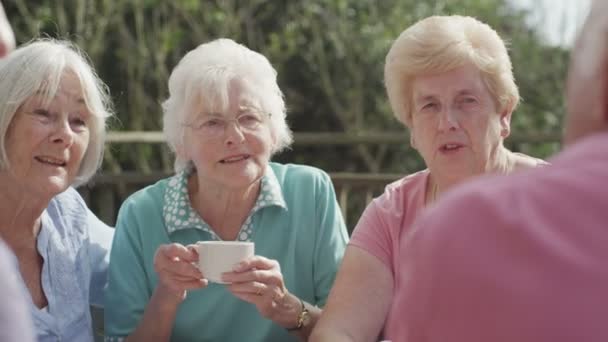 Senior friends with cups of tea — Stock Video