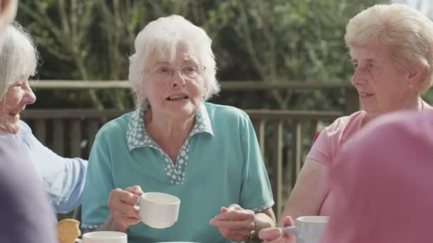 Senior friends chatting  with cups of tea — Stock Video