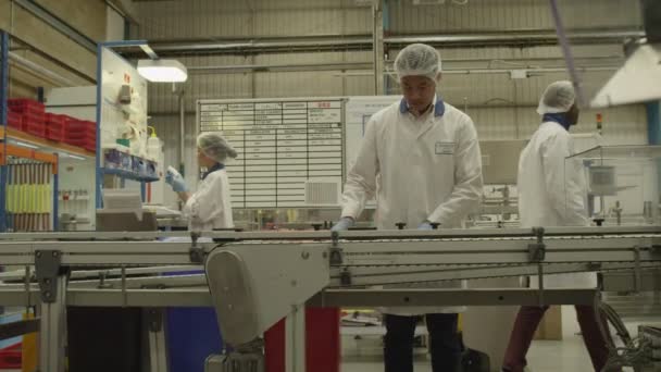 Trabalhadores numa linha de produção — Vídeo de Stock