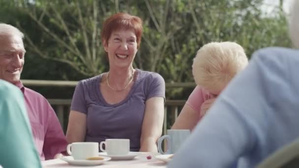 Ältere Freunde trinken Tee — Stockvideo