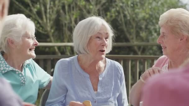 Senioren plaudern bei Tassen Tee — Stockvideo