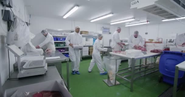 Carniceros que trabajan en la fábrica de carne — Vídeos de Stock