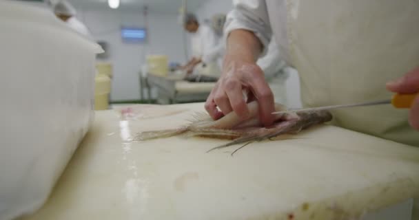 Trabajadores de la pesca en planta — Vídeos de Stock