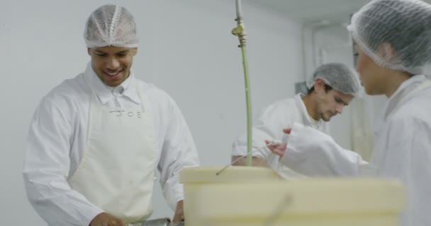 Bir deniz ürünleri işleme fabrikasında işçiler — Stok video