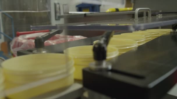 工場で製品の製造 — ストック動画