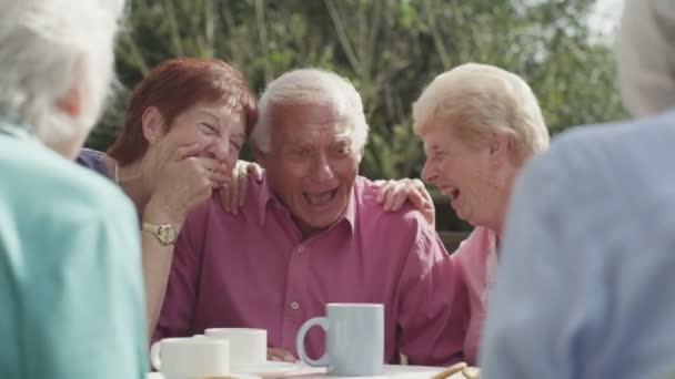 Amigos mayores tomando té — Vídeos de Stock