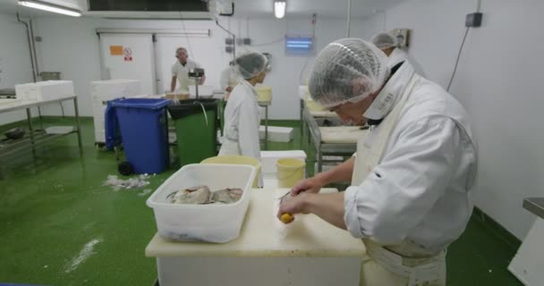 Trabajadores de la pesca en planta — Vídeos de Stock