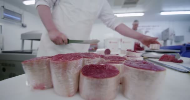 Butchers working in meat factory — Stock Video