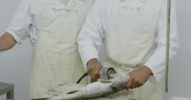 Arbetare i en fabrik för bearbetning av fisk och skaldjur — Stockvideo