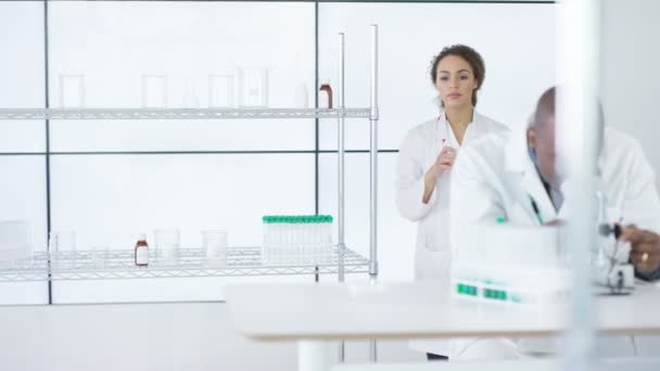 研究室での作業や分析を議論する白のコートで 医療研究者 — ストック動画