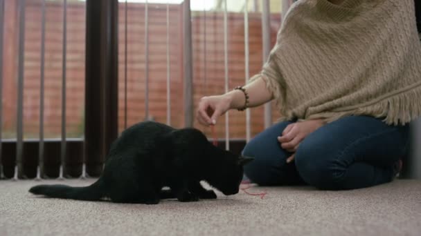 Genç Kadın Sevimli Siyah Yavru Kedi Ile Evde Oynarken — Stok video