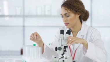 mikroskop altında örnek bakarak laboratuvarda çalışan 4 k araştırma bilim adamı