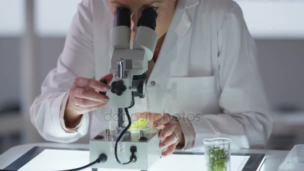 Portrait Smiling Medical Researcher Working Lab Analyzing Plant Sample — Stock Video