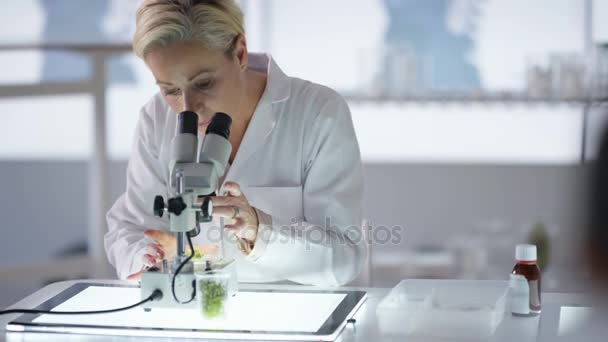 Portret Van Lachende Medisch Onderzoeker Werken Het Lab Analyseren Plant — Stockvideo