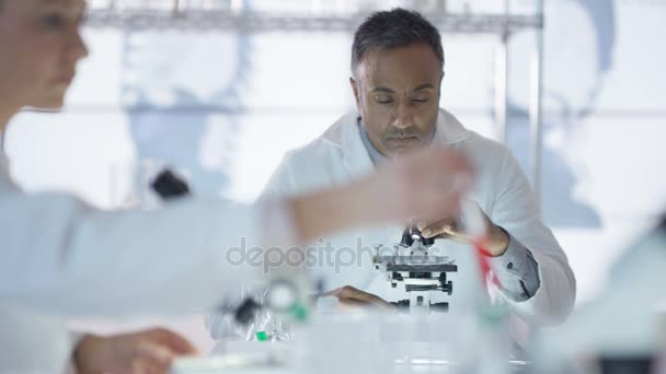 Portrait Serious Medical Researcher Working Lab — Stock Video