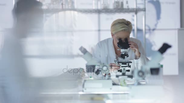 Medicinska Forskare Som Arbetar Laboratoriet Analysera Prover Mikroskop — Stockvideo