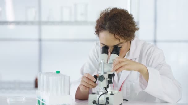 Científico Investigador Que Trabaja Laboratorio Mirando Muestra Bajo Microscopio — Vídeos de Stock