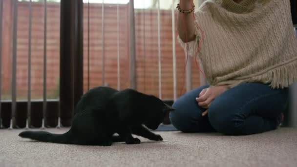 Mujer Joven Jugando Con Lindo Gatito Negro Casa — Vídeos de Stock