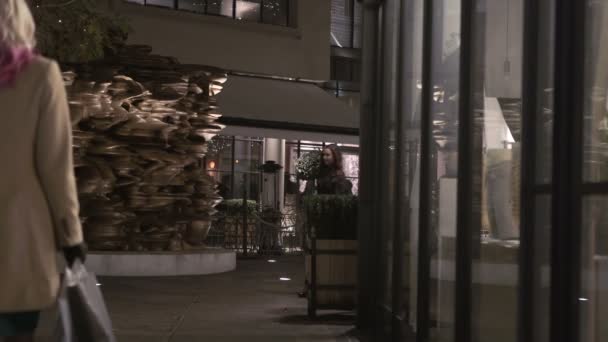 Young Woman Shopping Bags Looking Shop Window City Night — Stock Video