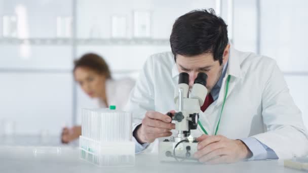 研究科学家在实验室工作 观察显微镜下的样品 — 图库视频影像