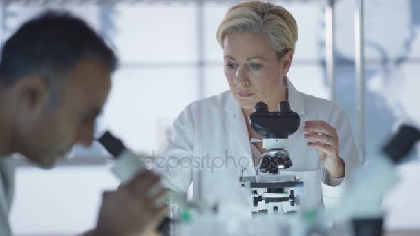 Medical Researcher Working Lab Analyzing Samples Microscope — Stock Video
