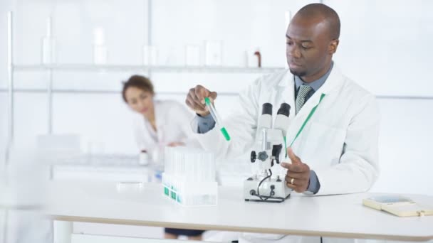 Retrato Del Investigador Médico Sonriente Que Trabaja Laboratorio — Vídeo de stock