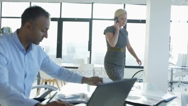 Empresário Corporativo Trabalhando Laptop Escritório Mulher Falando Por Telefone — Vídeo de Stock