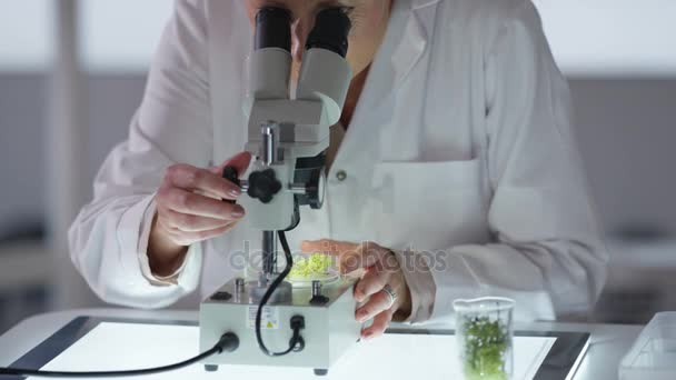 Portrait Smiling Medical Researcher Working Lab Analyzing Plant Sample — Stock Video