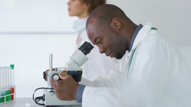 研究科学家在实验室工作 观察显微镜下的样品 — 图库视频影像