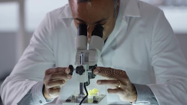 Portrait Chercheur Médical Souriant Travaillant Dans Laboratoire Analysant Échantillon Plante — Video