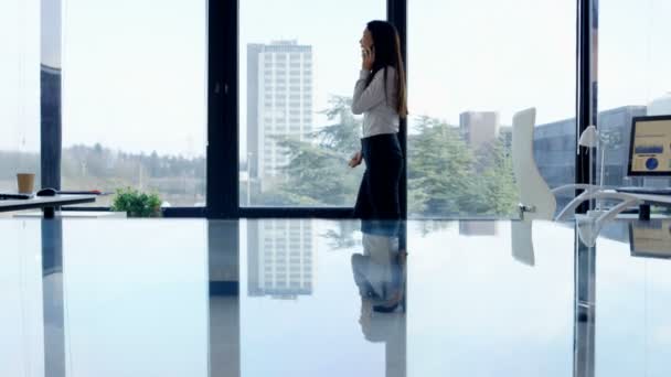 Feliz Mujer Negocios Hablando Por Teléfono Delante Ventana Oficina — Vídeo de stock