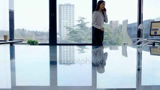 Feliz Mujer Negocios Hablando Por Teléfono Delante Ventana Oficina — Vídeos de Stock