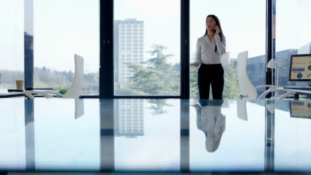 Genervte Geschäftsfrau Telefoniert Vor Fenster Ihrem Büro — Stockvideo