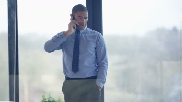 Homme Affaires Joyeux Parlant Téléphone Seul Dans Son Bureau — Video