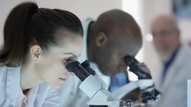 Laboratuarda çalışan, sonuçları tartışıyor ve mikroskoplar bakarak araştırma bilim adamları.