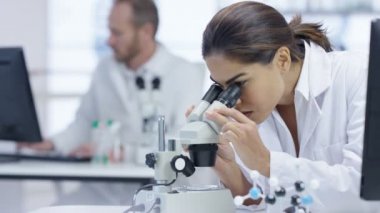 4 k tıbbi araştırma ekibi laboratuarında, bilgisayarda çalışarak, örnekleri analiz ve mikroskop arıyorsunuz