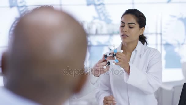 Medical Team Meeting Looking Model Molecular Structure — Stock Video