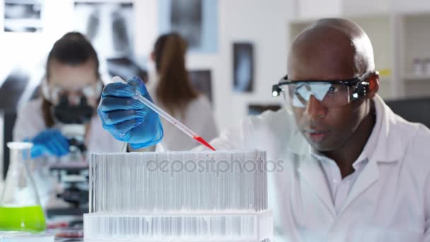 Bilimsel Araştırma Ekibi Laboratuvar Kimyasalları Test Tüpleri Ile Çalışma — Stok video