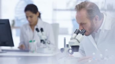 4 k tıbbi araştırma ekibi laboratuarında, bilgisayarda çalışarak, örnekleri analiz ve mikroskop arıyorsunuz