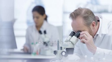 4 k tıbbi araştırma ekibi laboratuarında, bilgisayarda çalışarak, örnekleri analiz ve mikroskop arıyorsunuz