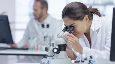 4 k tıbbi araştırma ekibi laboratuarında, bilgisayarda çalışarak, örnekleri analiz ve mikroskop arıyorsunuz