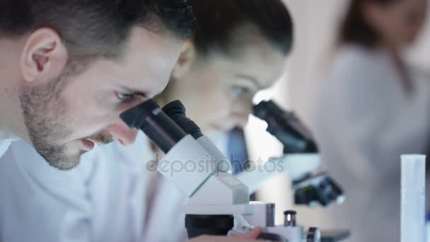 Research Scientists Working Lab Looking Microscopes Discussing Results — Stock Video