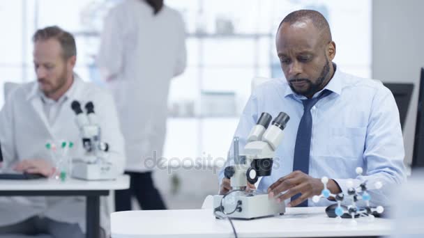 Gruppo Ricerca Medica Laboratorio Che Lavora Computer Analizza Campioni Guarda — Video Stock