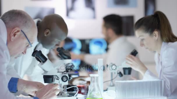 Наукова Дослідницька Команда Робить Відкриття Лабораторії — стокове відео