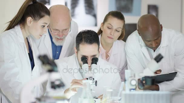 depositphotos_179045404-stock-video-research-scientists-making-discovery-lab.jpg