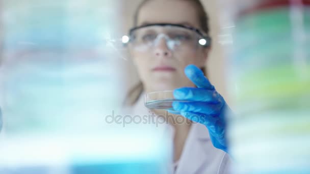 Cientista Pesquisa Química Trabalhando Laboratório Com Líquidos Coloridos — Vídeo de Stock